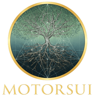 MotorSui
