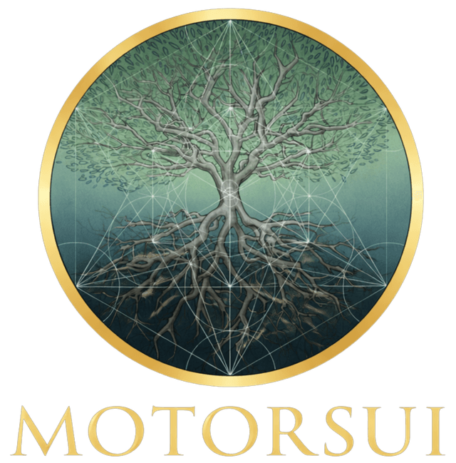 MotorSui